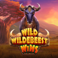 Wild Wildebeest Wins thumbnail